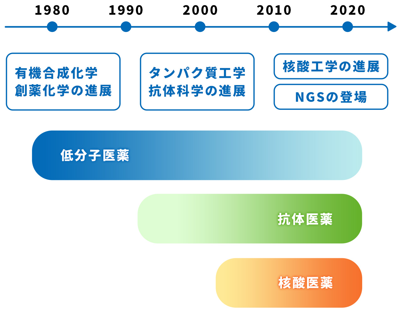 分子構造図1