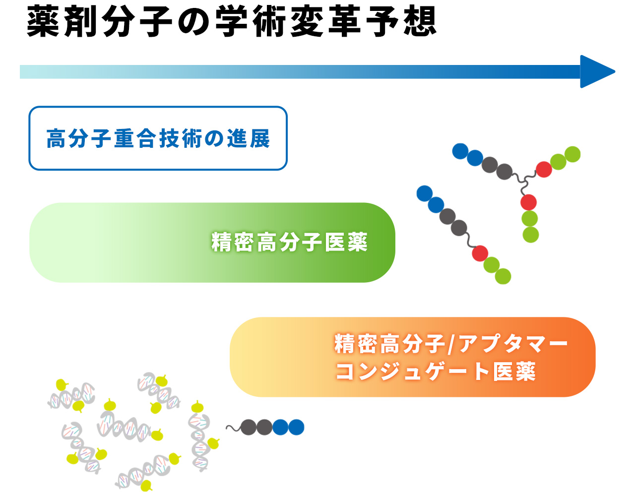 分子構造図2