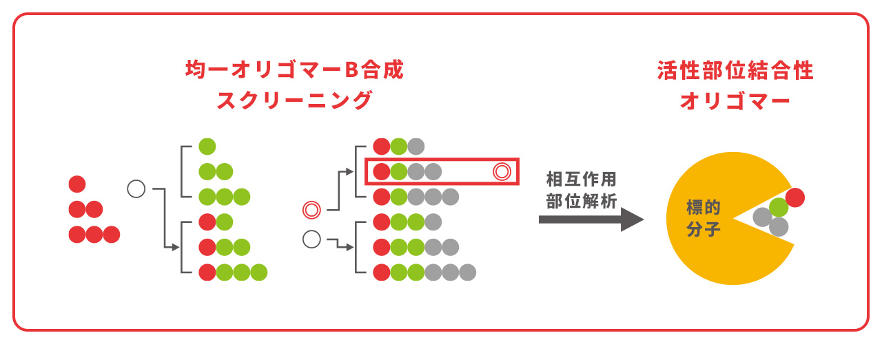 分子構造図4
