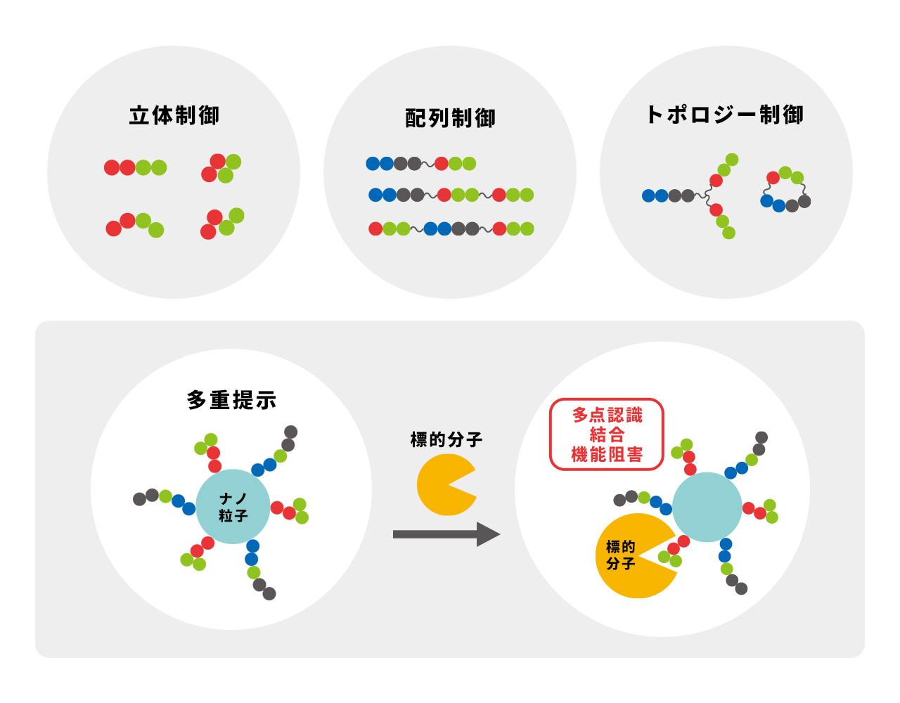 分子構造図5