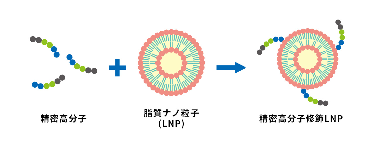 分子構造図8
